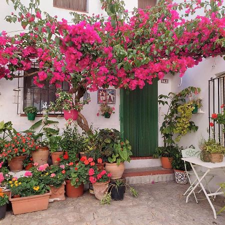 La Buganvilla De Juana Y Antonio كاساريس المظهر الخارجي الصورة