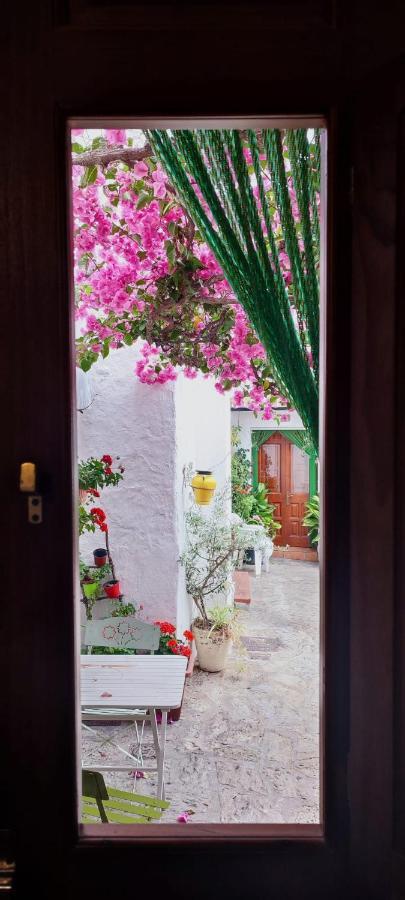 La Buganvilla De Juana Y Antonio كاساريس المظهر الخارجي الصورة