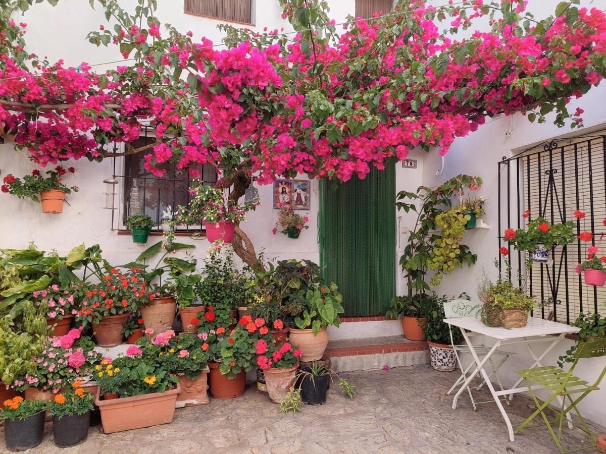 La Buganvilla De Juana Y Antonio كاساريس المظهر الخارجي الصورة